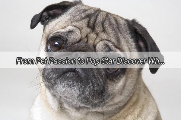 From Pet Passion to Pop Star Discover Why Chen Linongs Heart is Always Packed with Pups